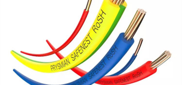 為揭露電線的奧秘，行業(yè)裝修專家親赴電線工廠？